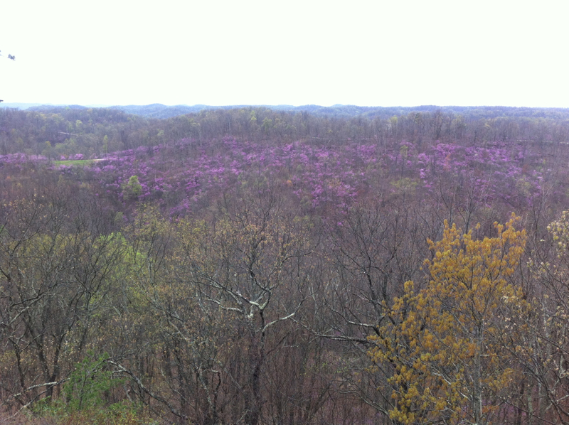 Lockegee Rock and Cave Run Lake